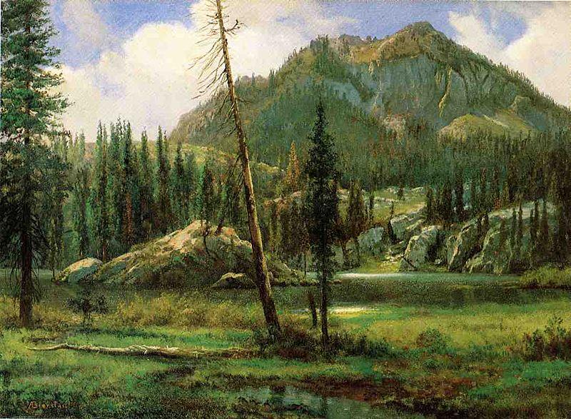 Albert Bierstadt Sierra_Nevada_Mountains oil painting picture